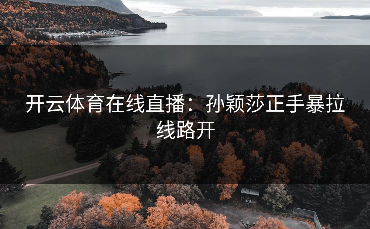 开云体育在线直播：孙颖莎正手暴拉线路开