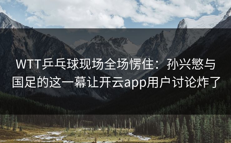 WTT乒乓球现场全场愣住:孙兴慜与国足的这一幕让开云app用户讨论炸了 WTT乒乓球现场全场愣住:孙兴慜与国足的这一幕让开云app用户讨论炸了