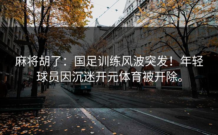 麻将胡了：国足训练风波突发！年轻球员因沉迷开元体育被开除。